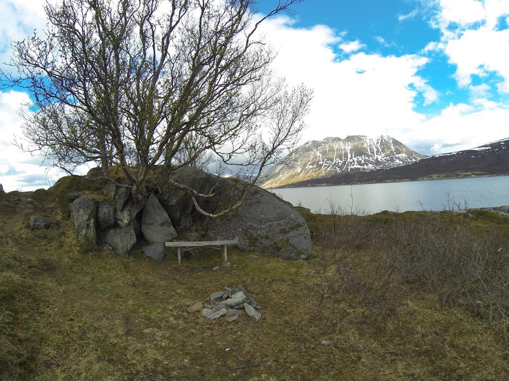 Willa Lyngen Fjordcamp Nord-Lenangen Zewnętrze zdjęcie
