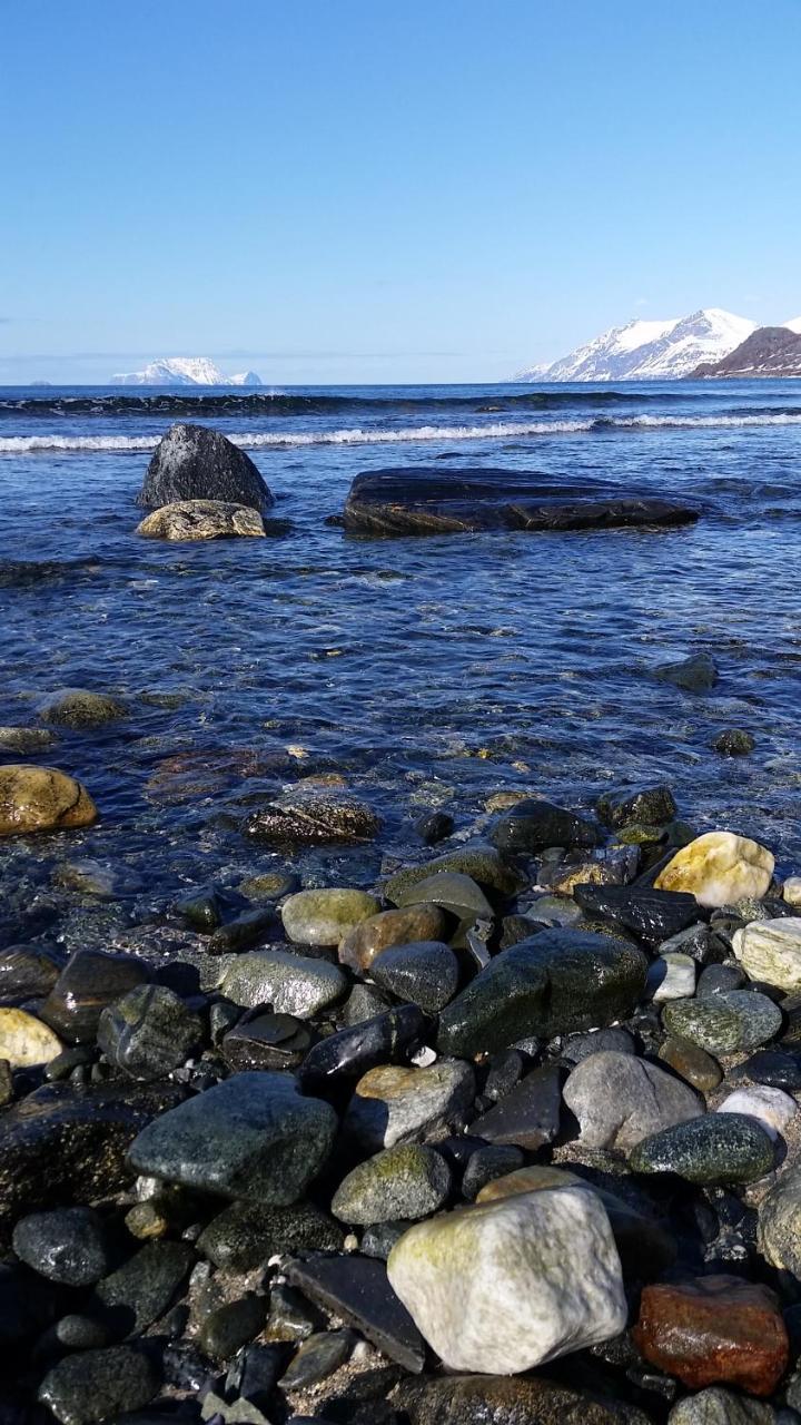 Willa Lyngen Fjordcamp Nord-Lenangen Zewnętrze zdjęcie